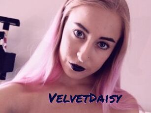 VelvetDaisy