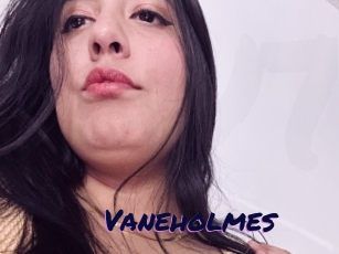 Vaneholmes