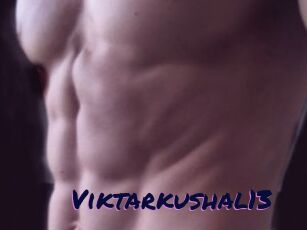Viktarkushal13