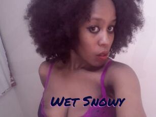 Wet_Snowy