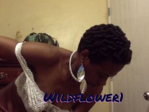 Wildflower1