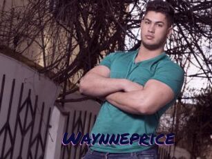 Waynneprice
