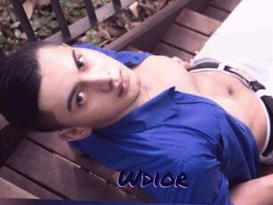 Wdior