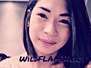 WildFLAMINGO