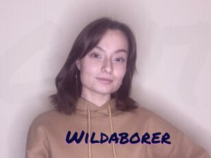 Wildaborer