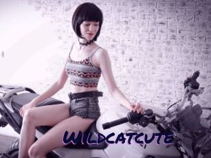 Wildcatcute