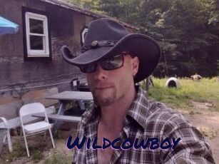 Wildcowboy