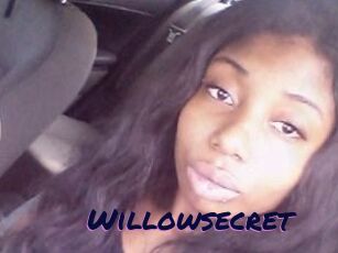 Willow_secret