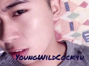 YoungWildCock4u