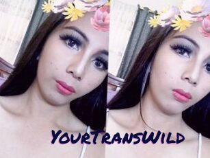 YourTransWild
