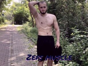 Zefs_muscle